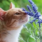 Warm weather up to +27 expected in Rivne region this weekend