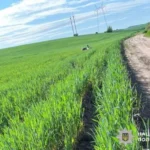 Скутерист загинув у ДТП на Рівненщині: деталі трагедії