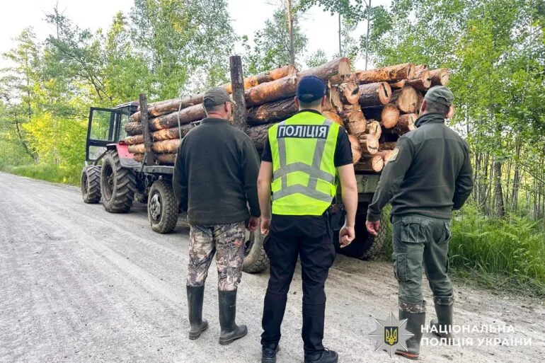 На Рівненщині виявили незаконну вирубку лісів